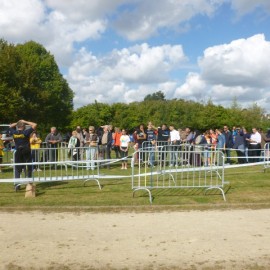 2016 scholenveldloop  151 - Sportraad Zaventem 